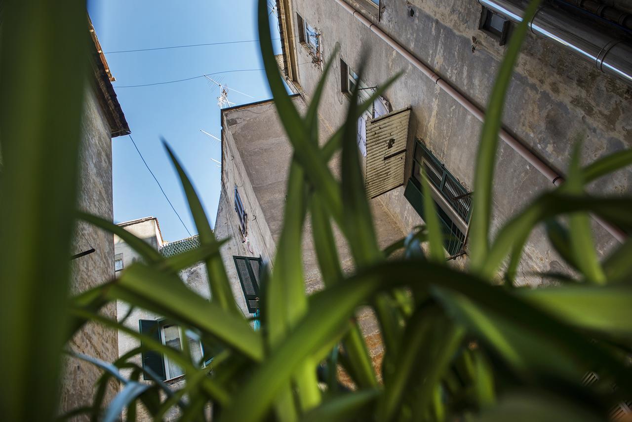 Obelus Bed & Breakfast Roma Ngoại thất bức ảnh